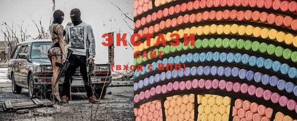 индика Новодвинск