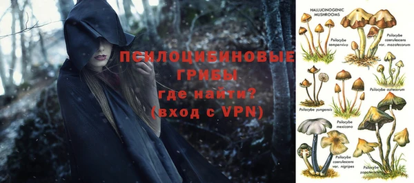 МДПВ Алзамай