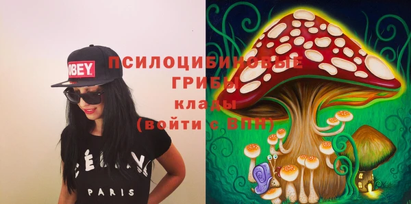 индика Алексеевка